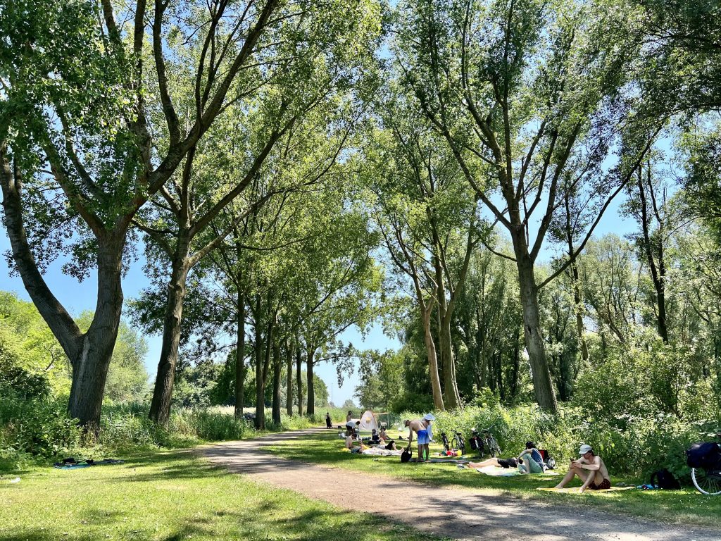 Donderslag en betrouwbaar bestuur