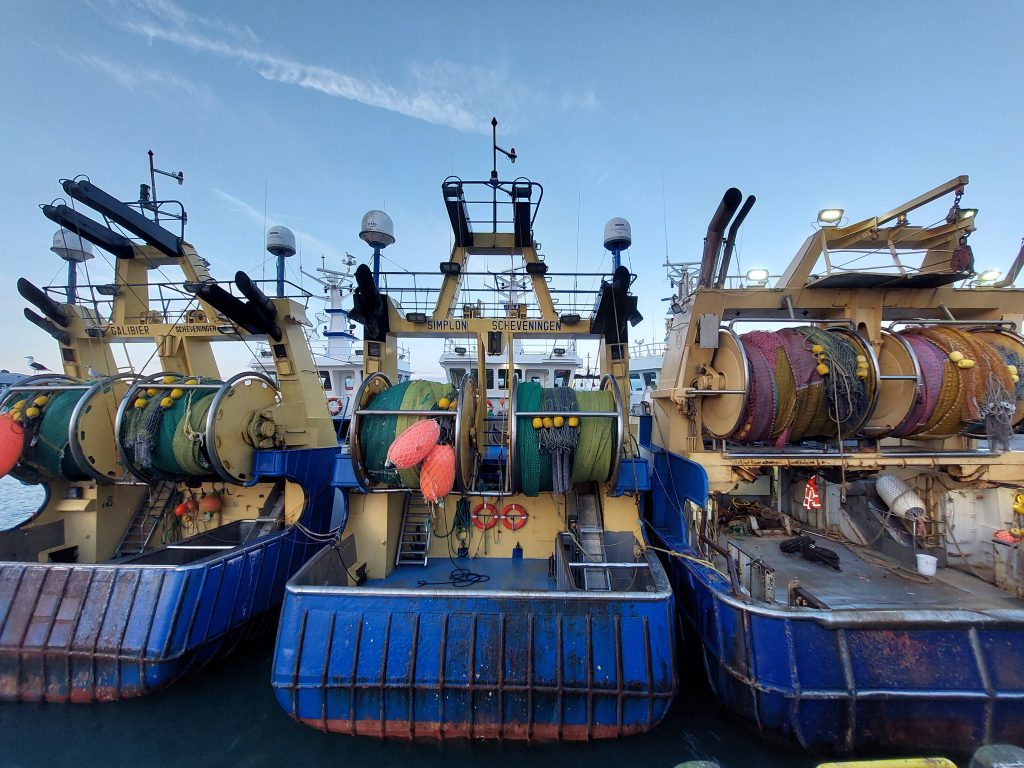 Europese visserijbeleid is ziek