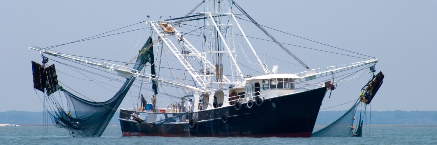 Twee inspecteurs voor de totale zee