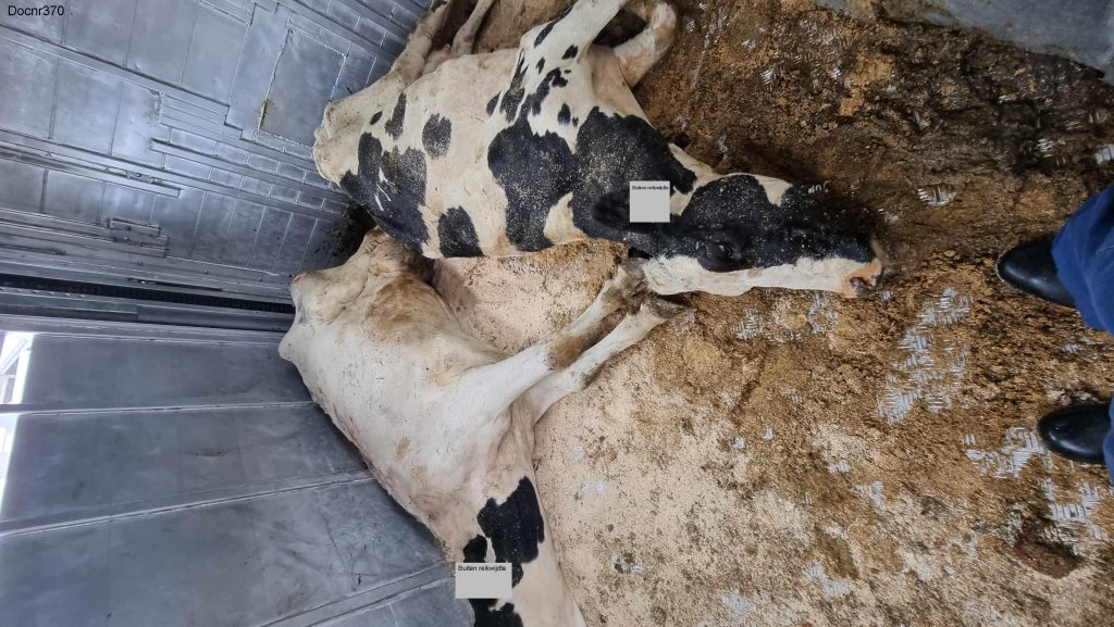 Als zoveel journalisten