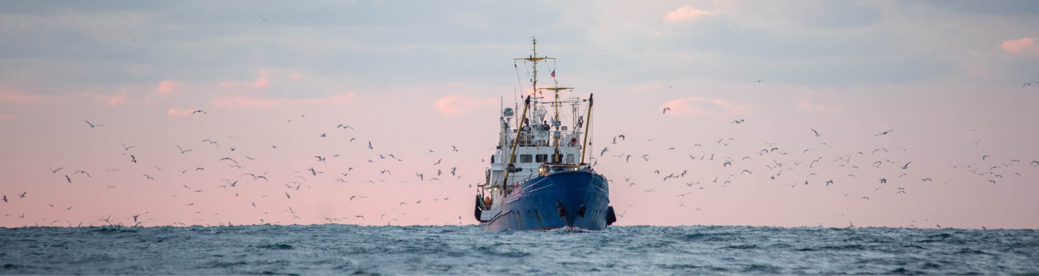 Politieke chantage over de rug van Faeröerse vissers, voor het belang van één Nederlands familiebedrijf