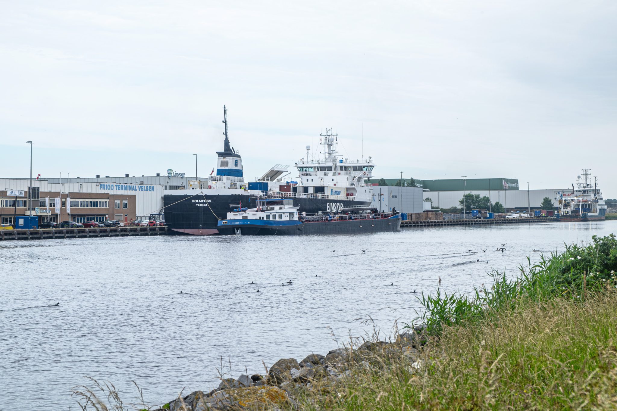 The Netherlands as a hub for possible illegal Russian fishing