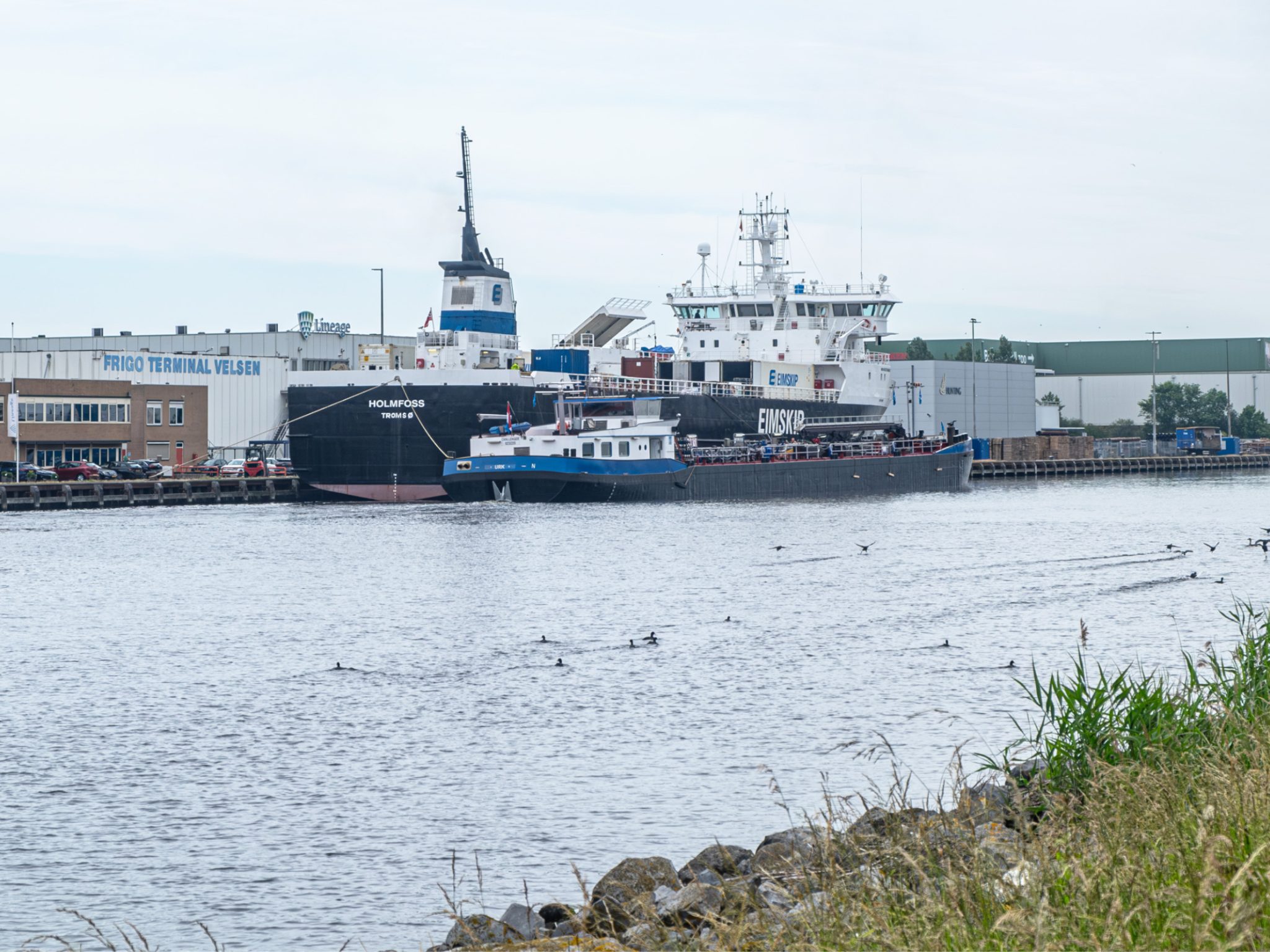 Toezicht faalt op lucratieve Russische vishandel via Nederland