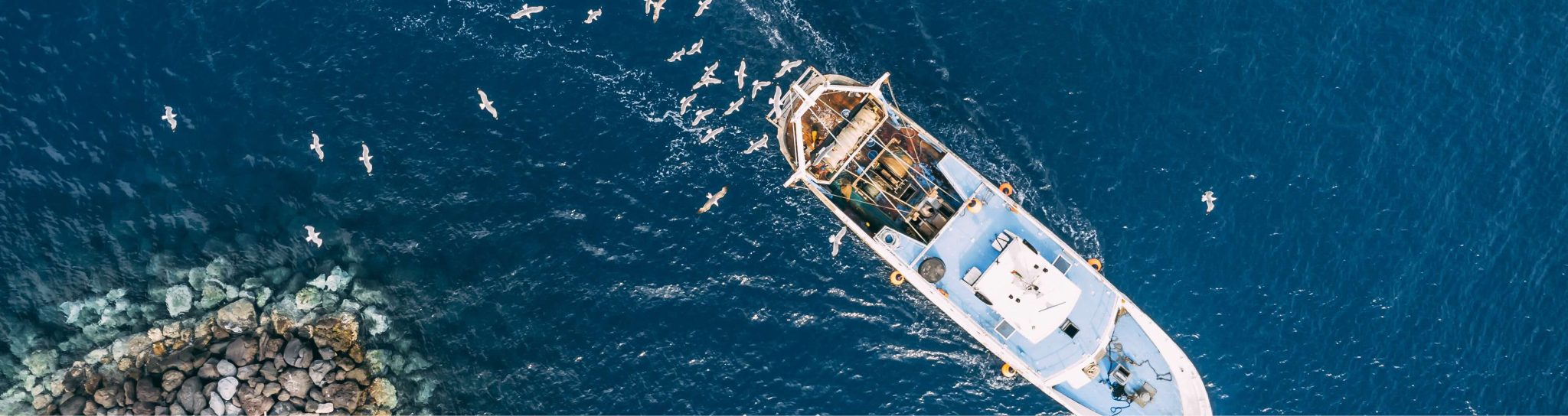 "We vissen opnieuw de Noordzee leeg "